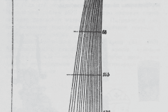 Diagram 41: Rear-view of monk's mantle
