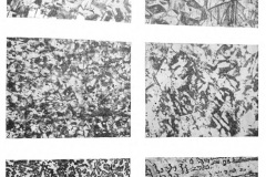 Illustration 19: Microstructure, magnification 240x