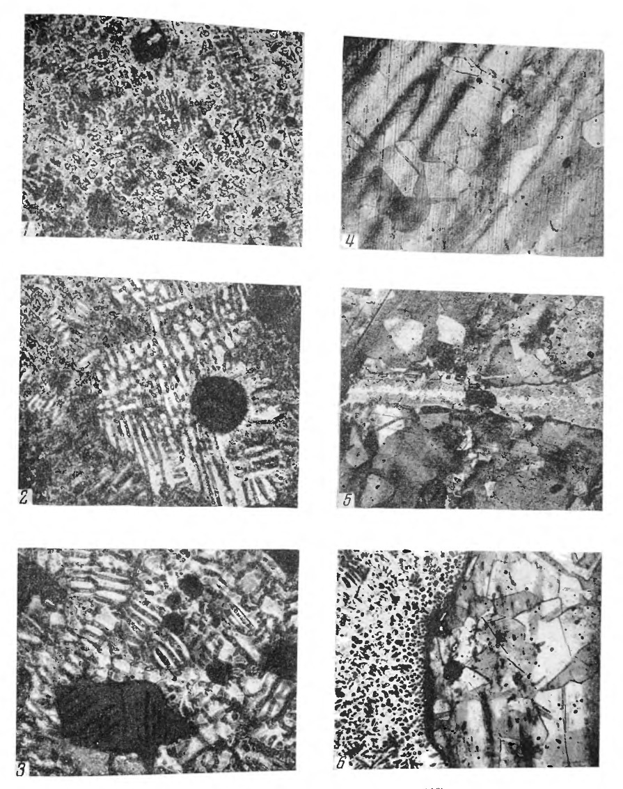 Illustration 23: Microstructure, magnification 240x