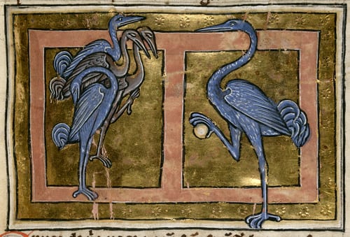 Cranes in a medieval bestiary from England, dated to first quarter of the 13th c. British Library, Royal 12 C XIX f. 40.